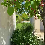 Belle Typique Du Sud Avec Grande Piscine Villa