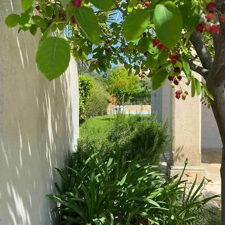 Belle Typique Du Sud Avec Grande Piscine Villa